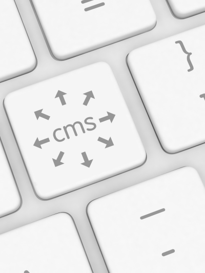 Content Management Systems (CMS)
